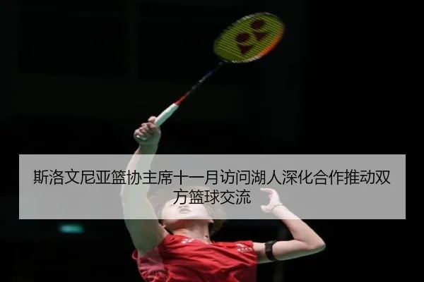 斯洛文尼亚篮协主席十一月访问湖人深化合作推动双方篮球交流